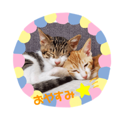[LINEスタンプ] もずぽんすたんぷ3