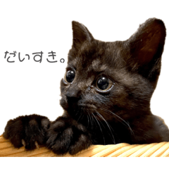 [LINEスタンプ] さよンプ