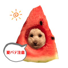 [LINEスタンプ] きなちゃんスタンプ4