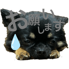[LINEスタンプ] 日常 2020.07.28