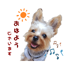 [LINEスタンプ] ヨーキー LUCASくん 3.