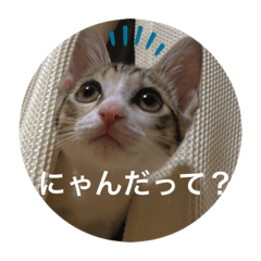 [LINEスタンプ] かわいいぽんず2