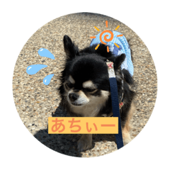 [LINEスタンプ] カイスタのんびり