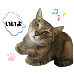 [LINEスタンプ] 茶太郎と黒子の毎日4