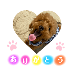 [LINEスタンプ] ゆずララの日常♡時々ハッチ②