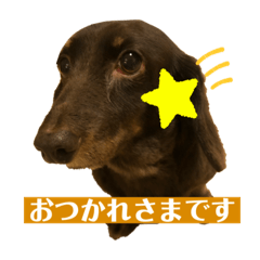 [LINEスタンプ] くりさんちpart2