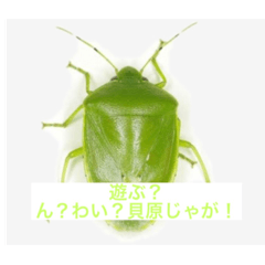 [LINEスタンプ] kaihara...