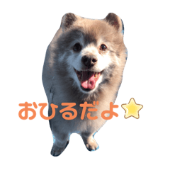 [LINEスタンプ] ポメそらの日常 3