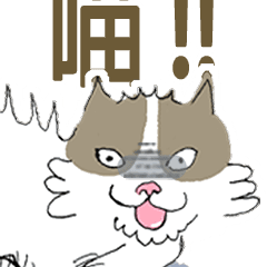 [LINEスタンプ] ノラのブッチ がやって来た！（中国語版）