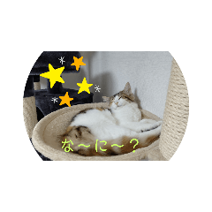 [LINEスタンプ] 平和なりんりん