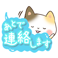 [LINEスタンプ] 三毛猫のあいさつ