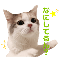 [LINEスタンプ] モカちゃんpart.2