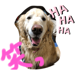 [LINEスタンプ] ひでやんちゃ