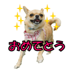 [LINEスタンプ] るなのスタンプ日本語vol1