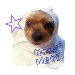 [LINEスタンプ] 愛しいじゅんちゃん