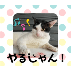 [LINEスタンプ] くめおスタンプププ