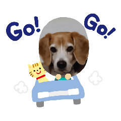 [LINEスタンプ] りくるなスタンプ