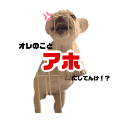 [LINEスタンプ] 華さんのスタンプ