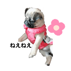 [LINEスタンプ] MoNa♡♡