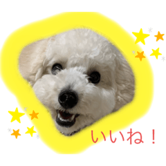 [LINEスタンプ] ちゃーとるーの物語