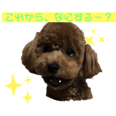 [LINEスタンプ] ららららララちゃん♫