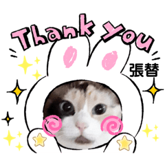 [LINEスタンプ] はり猫