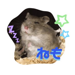 [LINEスタンプ] はむこ♀