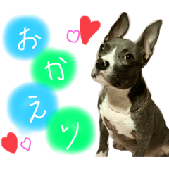 [LINEスタンプ] ぶぅる