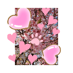 [LINEスタンプ] サクランボー