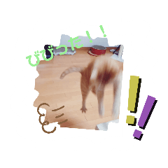[LINEスタンプ] みんなのねこども