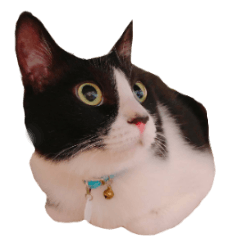 [LINEスタンプ] 小さなお友達のスタンプ4
