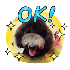 [LINEスタンプ] Ponzuくん