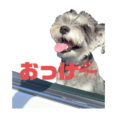 [LINEスタンプ] リックスタンプ