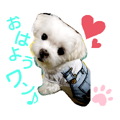 [LINEスタンプ] ワンの気持ち♪ 3
