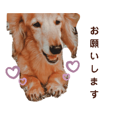 [LINEスタンプ] NEMO's STICKERS 2