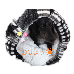 [LINEスタンプ] チムチムちゃん