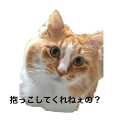 [LINEスタンプ] ムッ太