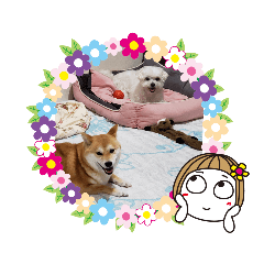 [LINEスタンプ] 私の幸せのもと