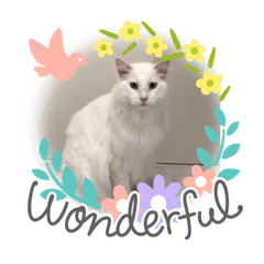 [LINEスタンプ] 我が家のぺっと達