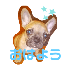 [LINEスタンプ] フレブル・スタンプ ODN