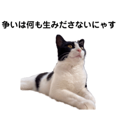 [LINEスタンプ] そっけない犬と猫たちスタンプ