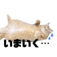 [LINEスタンプ] キスケ様②