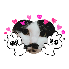[LINEスタンプ] ねこたんさんすたんぷ