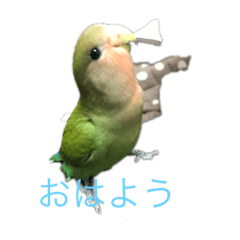 [LINEスタンプ] ピーちゃん＆コムギ   スタンプ