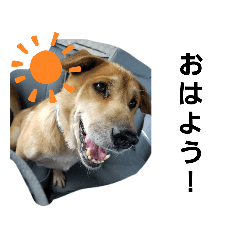 [LINEスタンプ] 我が家の愉快な犬達