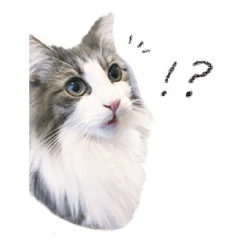 [LINEスタンプ] せんせいの日常