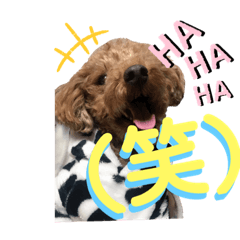 [LINEスタンプ] たまときどきそらスタンプ