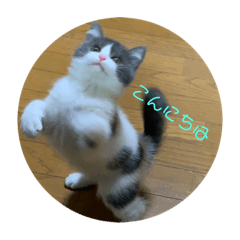 [LINEスタンプ] むぎ♡2