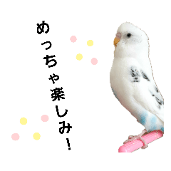 [LINEスタンプ] らぶりぃ クゥちゃん4