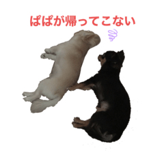 [LINEスタンプ] 茶々丸とこまつな